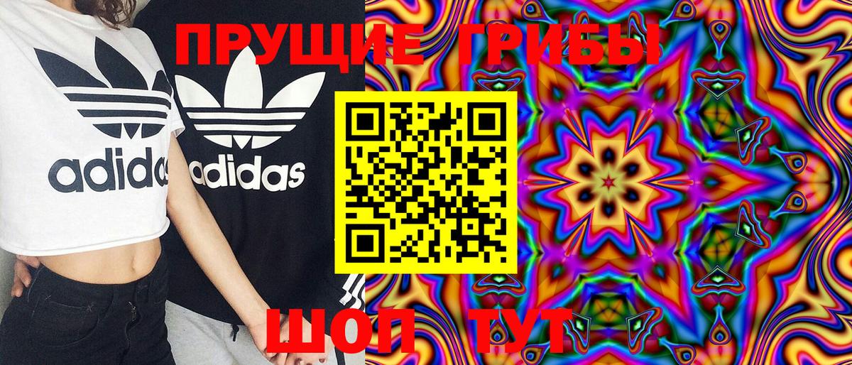 Галлюциногенные грибы Magic Shrooms  Вход с VPN  Тобольск  Псилоцибиновые грибы Magic Shrooms 